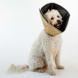 All Four Paws Guler protector animale Comfy Cone XS, cafeniu, 11 cm CCXST (433847)