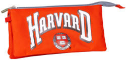 Cerda Penar harvard cu 3 compartimente, 22 x 11 cm - bekid Penar