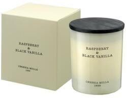 Cereria Mollá Raspberry & Black Vanilla - Lumânare aromată 600 g