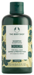 The Body Shop Moringa sampon 250 ml