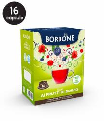 Caffè Borbone 16 Capsule Borbone Ceai Fructe de Padure - Compatibile A Modo Mio