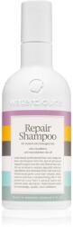 Waterclouds Repair Shampoo șampon de îngrijire delicată 250 ml
