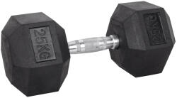 inSPORTline Hatszög kézisúlyzó inSPORTline Hexsteel 25 kg (22092)