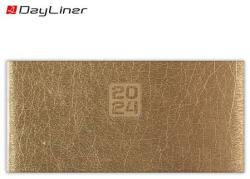 Dayliner Zsebnaptár, fekvő elrendezésű, DAYLINER, Mirror , arany (DL4AG-MRFZSFE-AR) - molnarpapir
