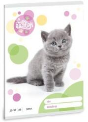 Ars Una Ars Una: Cuki állatok - Brit rövidszőrű macska sima füzet A/5 20-32 53613059