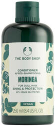 The Body Shop Moringa Hajbalzsam (250 ml) - pelenka