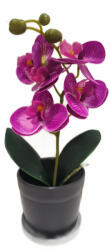  Orchidea művirág cserepes 28cm (100006464)