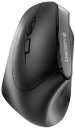 CHERRY JW-4550 Mouse