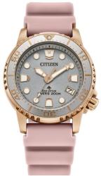 Citizen EO2023-00A Ceas