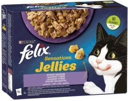 FELIX Sensations Jellies hrană pentru pisici la pliculeț - Selecție mixtă în aspic - Multipack (9 carton = 9 x 12 x 85 g) 9180 g