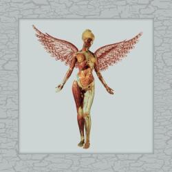 UNIVERSAL Nirvana - In Utero (8lp, 30th Anniversary Super Deluxe Edition) (5517821)