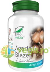 ProNatura Agaricus Blazei (Ciuperca Soarelui) 60cps