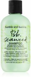 Bumble and bumble Seaweed Shampoo sampon pentru par cret cu extract de alge marine 250 ml