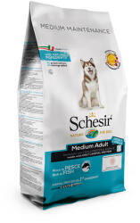 Schesir 2x12kg Adult Maintenance Fish Dog Dry Medium/Large Shesir kutyák számára
