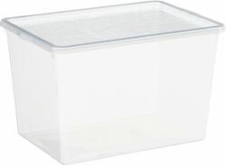 Plast Team Basic Shoe Box Tárolódoboz magassarkú cipőkhöz, 23, 8×34×21, 2 cm (19830800)