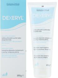 Pierre Fabre Dermatologie Cremă de față - Pierre Fabre Dermatologie Dexeryl Emollient Cream 250 g
