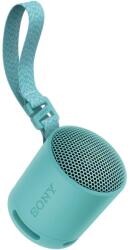 Sony SRS-XB100L