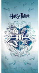 Aymax Harry Potter (AYM187556)