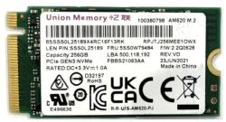 Union Memory 256GB M.2 (RPJTJ256MEE1OWX)