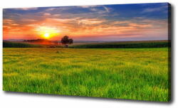 Wallmuralia. hu Vászon nyomtatás Sunset meadow 140x70 cm