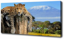  Wallmuralia. hu Vászonkép Leopard egy fatönkön 125x50 cm