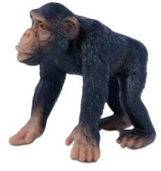 Comansi Little Wild kölyök csimpánz figura LW12001