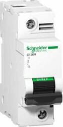 Schneider Electric Acti9 C120H Siguranta automata 1P 63A B A9N18401 (A9N18401)