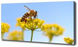  Wallmuralia. hu Egyedi vászonkép Méh a virágon 125x50 cm