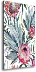 Wallmuralia. hu Fali vászonkép Protea 50x100 cm