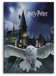  Harry Potter Roxfort polár takaró 100x140cm (AYM187662) - kidsfashion