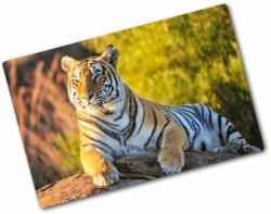  Wallmuralia. hu Üveg vágódeszka Portré egy tigris 80x52 cm
