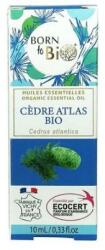 Born to Bio Ulei Esential de Cedru Atlas Bio - Born to Bio Organic Essential Oil Cedre Atlas Bio Cedrus Atlantica, 10ml