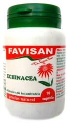FAVISAN Echinacea Favisan, 70 capsule
