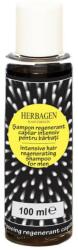 Herbagen Sampon Regenerant Capilar Intensiv pentru Barbati Herbagen, 100ml