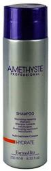 FarmaVita Sampon Hidratant - FarmaVita Amethyste Professional Shampoo Hydrate, 250 ml