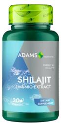 Adams Supplements Shilajit Mumio Extract 400 mg Adams Supplements Energy & Vitality, 30 capsule