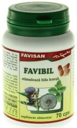 FAVISAN Favibil Favisan, 70 capsule