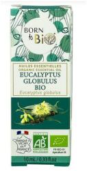 Born to Bio Ulei Esential de Eucalipt Globus Bio - Born to Bio Organic Essential Oil Eucalyptus Globulus Bio, 10ml