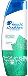 Head & Shoulders Sampon pentru Curatare Intensa Antimatreata si Reducerea Mancarimilor - Head&Shoulders Anti-dandruff Shampoo Deep Cleanse Itch Relief, 300 ml