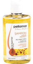 Pell Amar Sampon pentru Par Vopsit cu Extract de Floarea Soarelui Pellamar, 250 ml