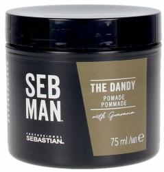 Sebastian Professional Crema de par pentru barbati Sebastian Prefessional SEB Man The Dandy Pomade, 75 ml