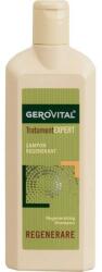 Gerovital Sampon Regenerant - Gerovital Tratament Expert Regenerating Shampoo, 250ml