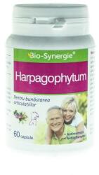 Bio-Synergie Harpagophytum Bio-Synergie, 60 capsule