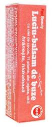 FAVISAN Luciu-Balsam de Buze Favibeauty Favisan, 4.2g