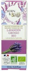 Born to Bio Ulei Esential de Lavandina Bio - Born to Bio Organic Essential Oil Lavandin Grosso Bio, 10ml