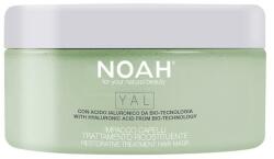 NOAH Masca Tratament pentru Par cu Acid Hialuronic pentru Regenerare Yal Noah, 200ml
