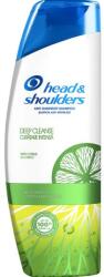 Head & Shoulders Sampon pentru Curatare Intensa Antimatreata si Controlul Sebumului - Head&Shoulders Anti-dandruff Shampoo Deep Cleanse Oil Control, 300 ml