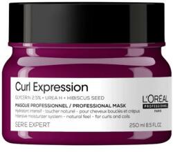 L'Oréal Masca de par - L'oreal Professionnel Serie Expert Curl Expression, 250ml