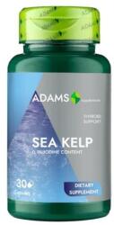 Adams Supplements Sea Kelp 600 mg Adams Supplements Thyroid Support, 30 capsule