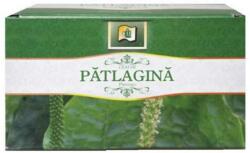 STEFMAR Ceai de Patlagina Stef Mar, 20 buc x 1, 5 g